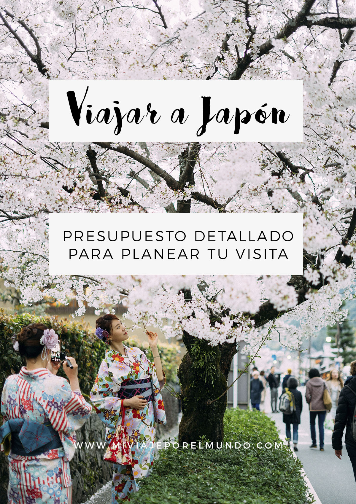 cuanto cuesta viajar a japon