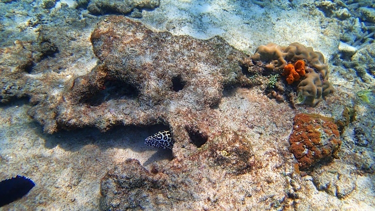 snorkel en la mejor playa del sudeste asiatico