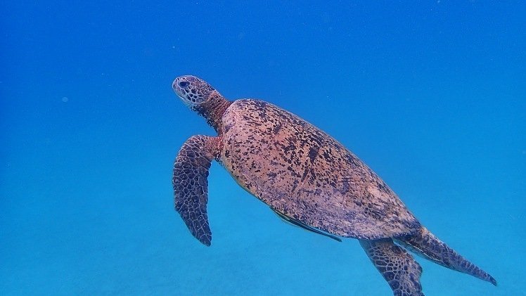 La mejor playa del sudeste asiatico