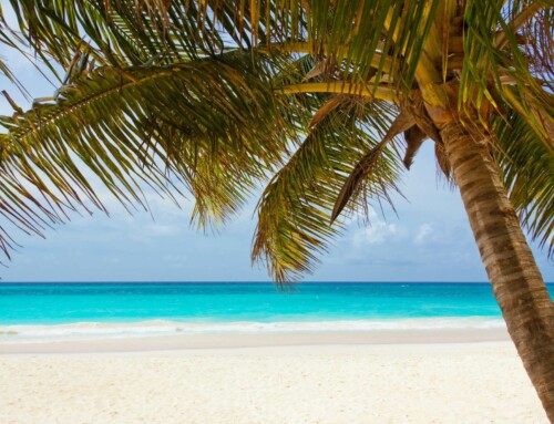 Playas de México baratas y no turísticas [2023]