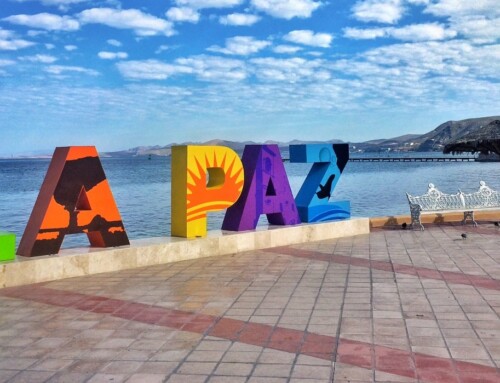 Las 5 mejores cosas que hacer en La Paz, BCS