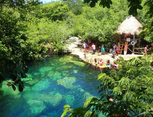 Guía para recorrer la Ruta de los Cenotes