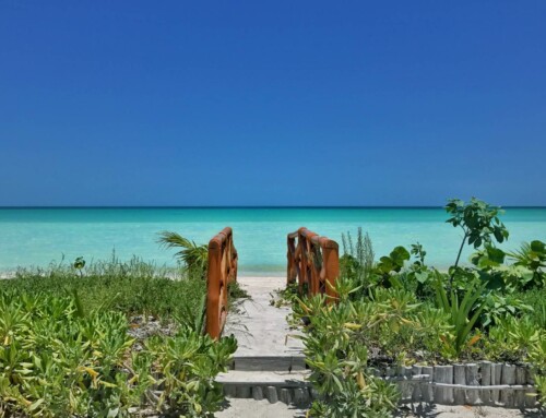 Guía rápida de cómo llegar a Holbox y qué hacer en la isla