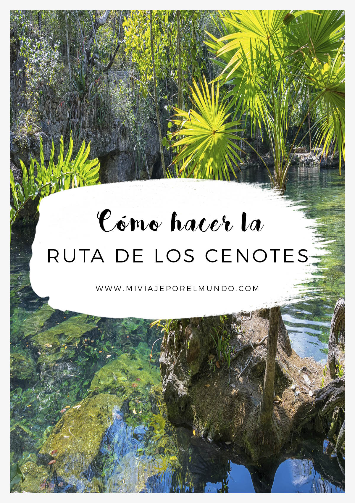guia-recorrer-ruta-de-los-cenotes