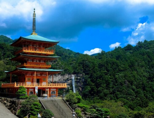 ¿Cuál es la mejor época para viajar a Japón? Guía rápida