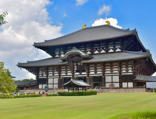 Cómo ir y qué ver en Nara. Guía rápida para ir por tu cuenta