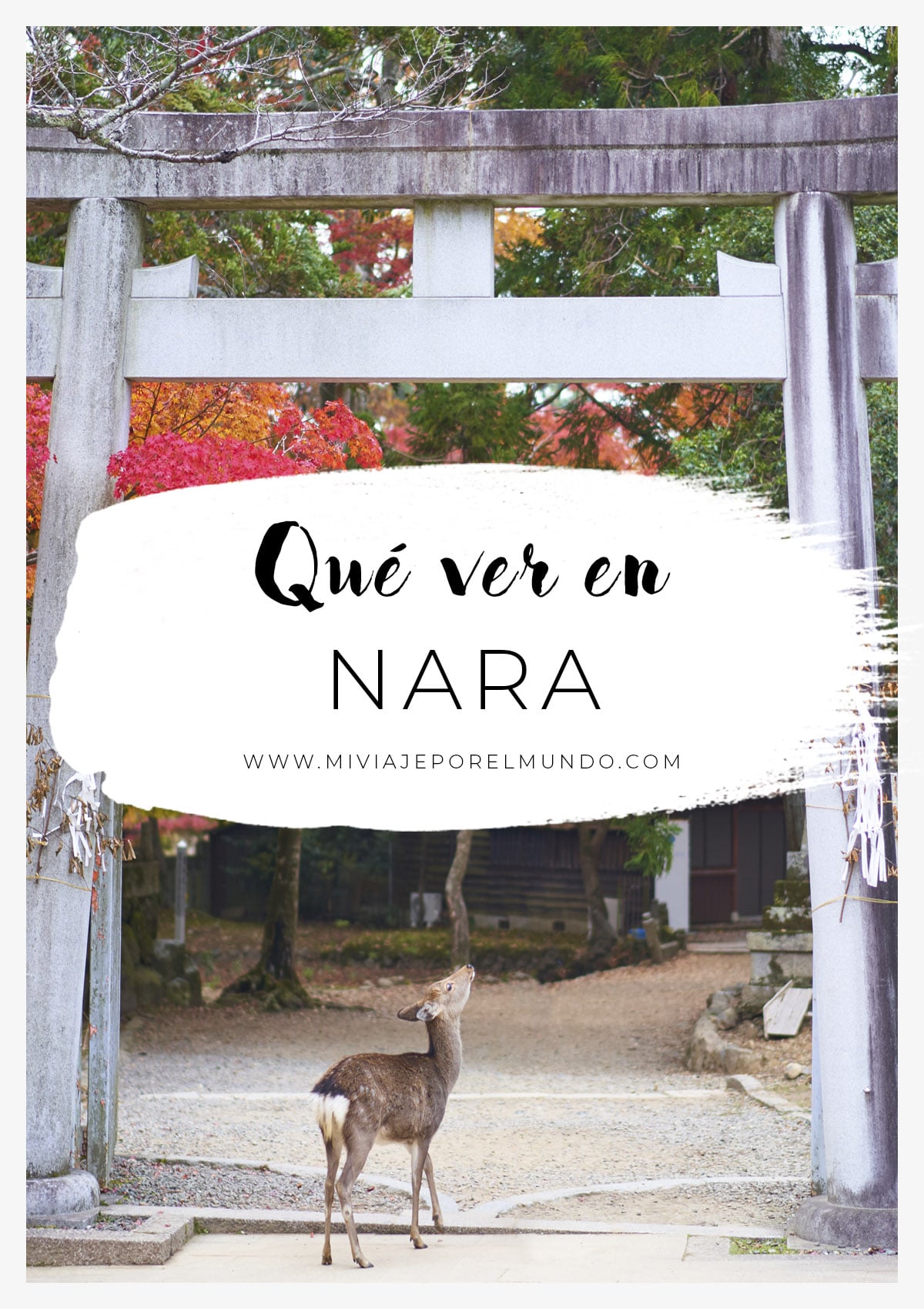 que-ver-en-nara