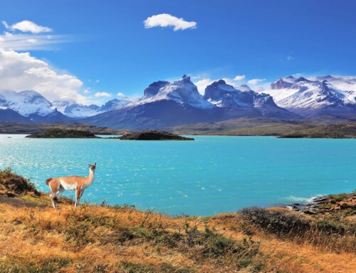 17 consejos para viajar a Chile por primera vez