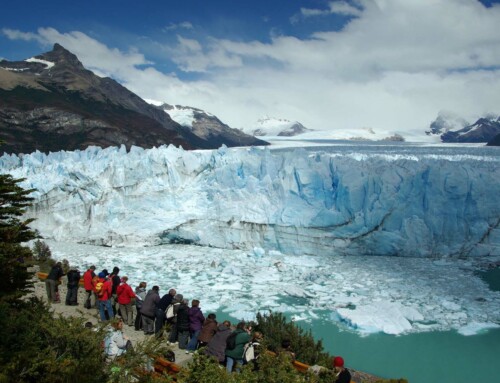Cómo organizar una excursión al glaciar Perito Moreno por tu cuenta