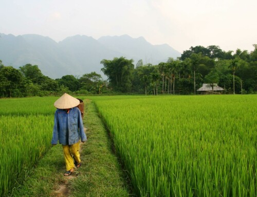 Qué ver en Vietnam – Lugares Imprescindibles