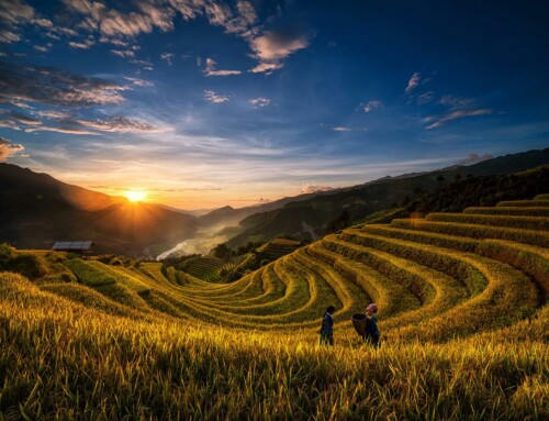 Cuánto cuesta viajar a Vietnam