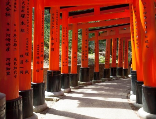 12 Consejos para viajar a Japón por primera vez